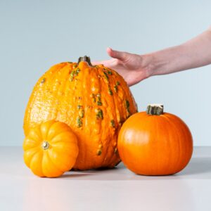 Halloween Kürbis Mix