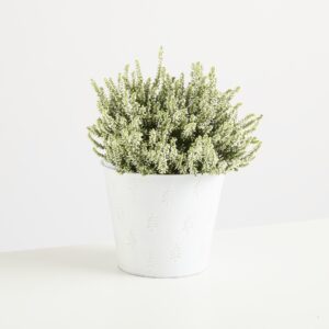 Zink Gefäß Weiß - 20 cm