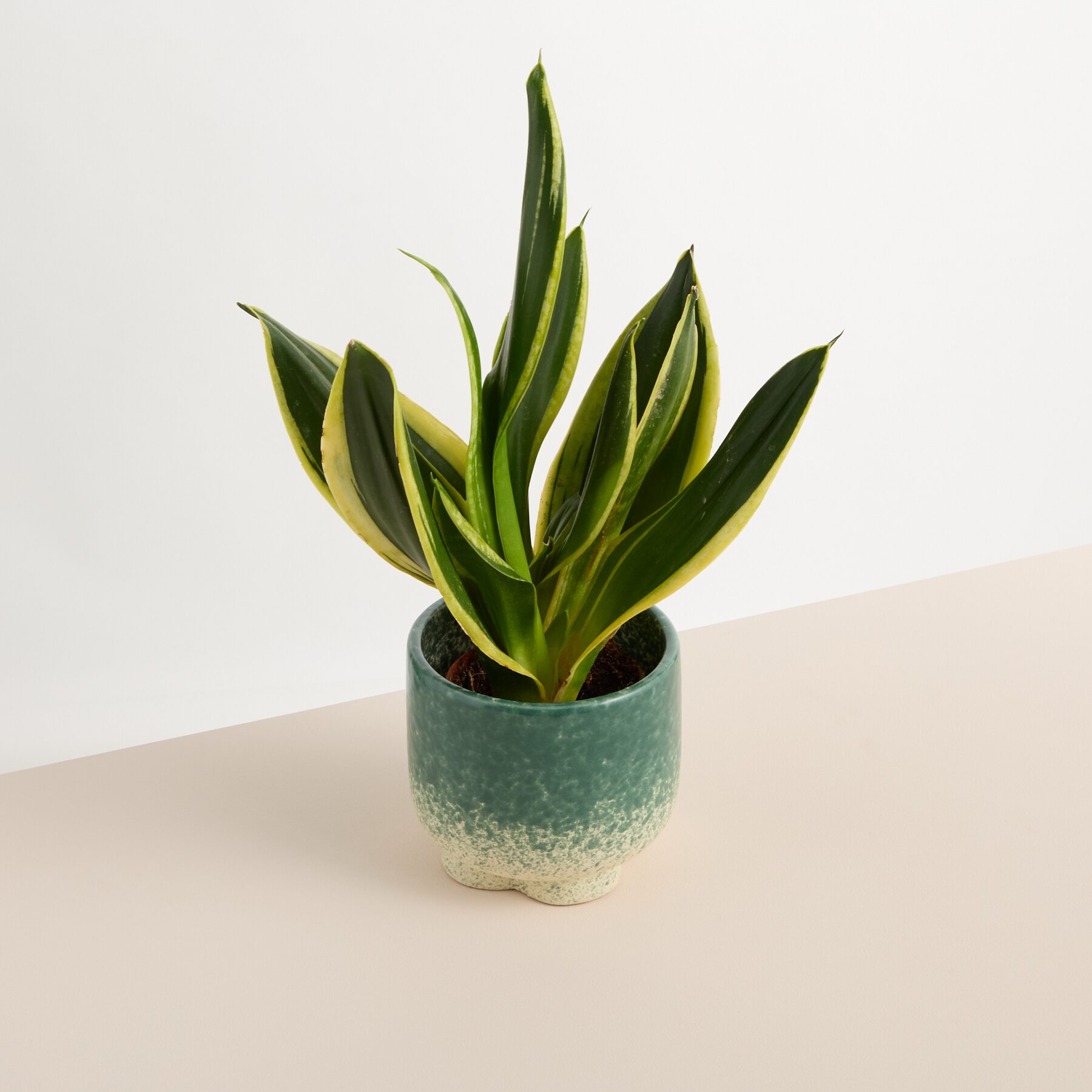 Keramik Übertopf Grün - 13 cm