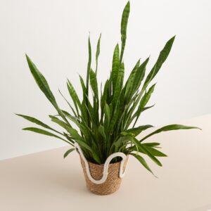 Seegraskorb Henkel Welle - 19 cm