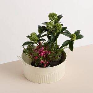 Zinkwanne Creme - 24 cm