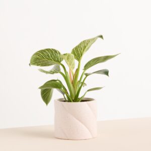 Keramik Übertopf Rosa Reaktiv - 10,5 cm