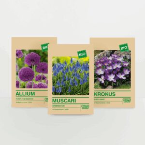 BIO Blumenzwiebel Set - 30 Zwiebeln