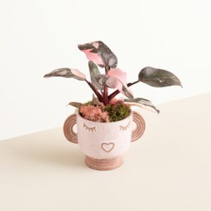 Happy Plant