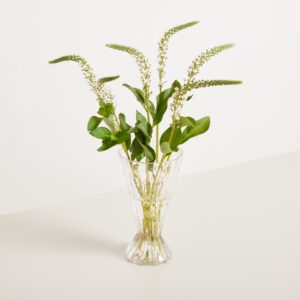 Glas Vase Transparent Breit Zulaufend