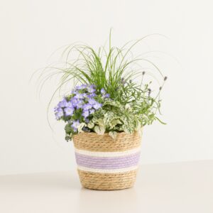 Sommerduft