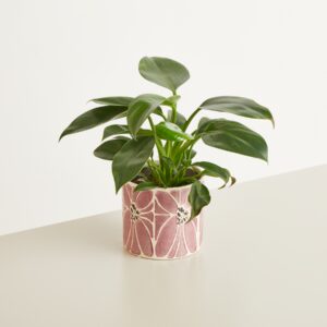 Keramik Übertopf Blume Lila - 12 cm