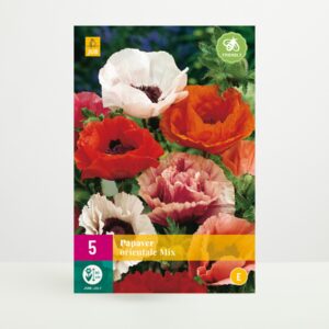 Türkischer Mohn Mix - 5 Wurzeln