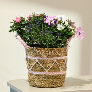Sanfte Blüten