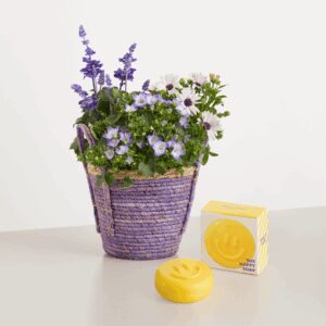Ultra Violet mit Happy Soap - Smiley Seife 100g