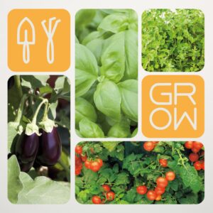 Mediterraner Gemüse Mix - 4 Stück