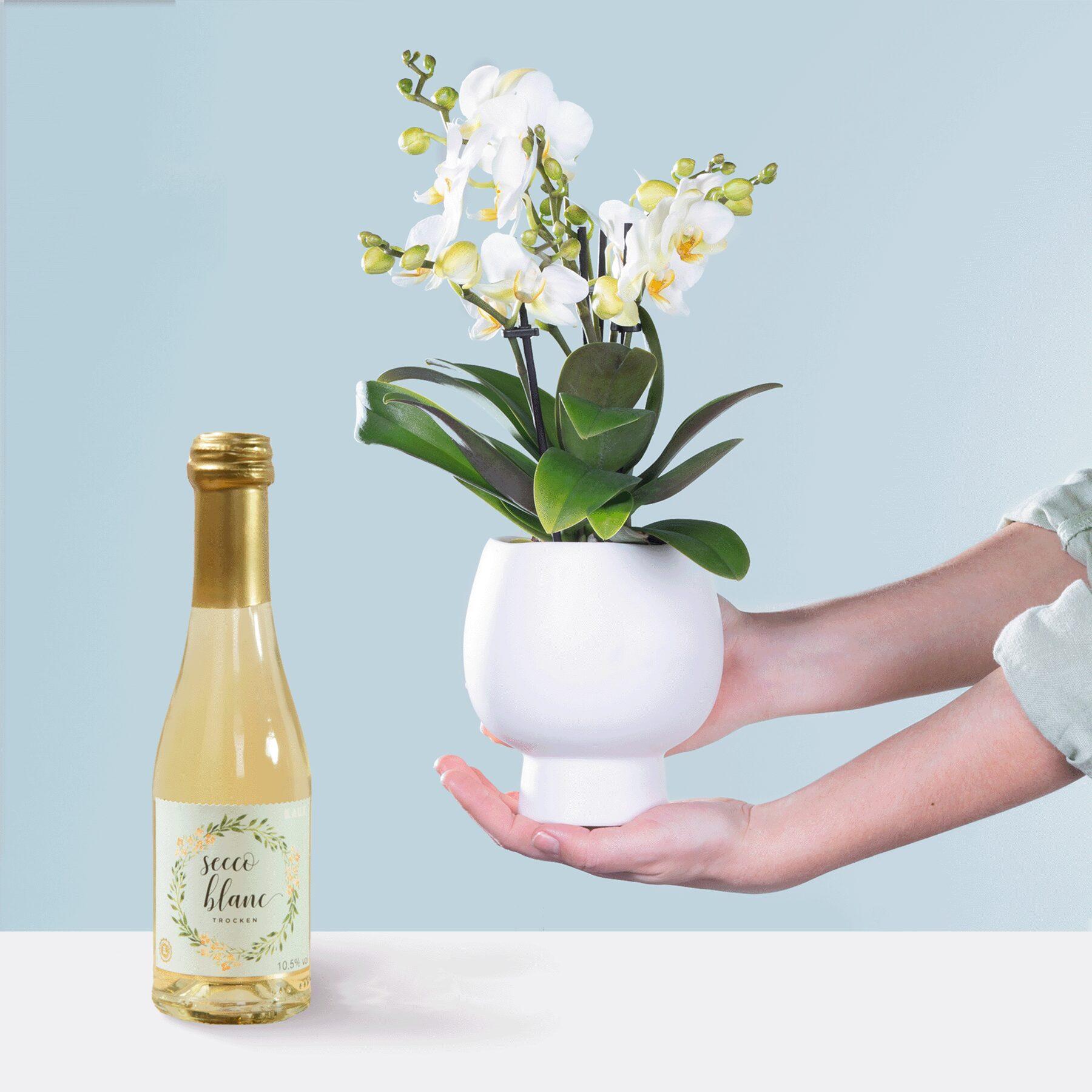 Traumhaft mit Riesling Secco Blanc