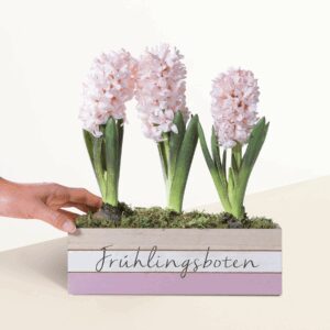Frühlingsbote