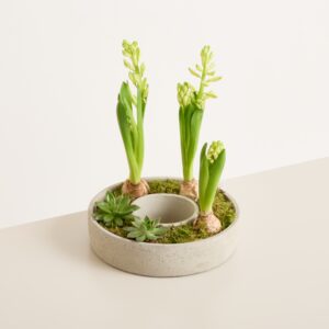 DIY Betonring Spring Blossom