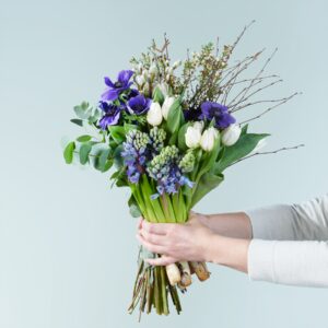 Frühlingsblumenmix Blau