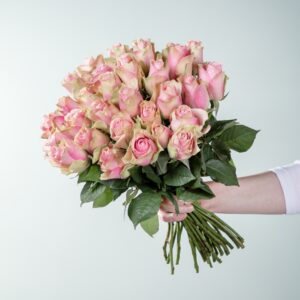 Deal: Rosa Edelrosen 'Belle Rose' - 30 Stiele