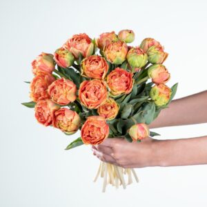 Deal: Freilandtulpen in Orange 30 Stiele