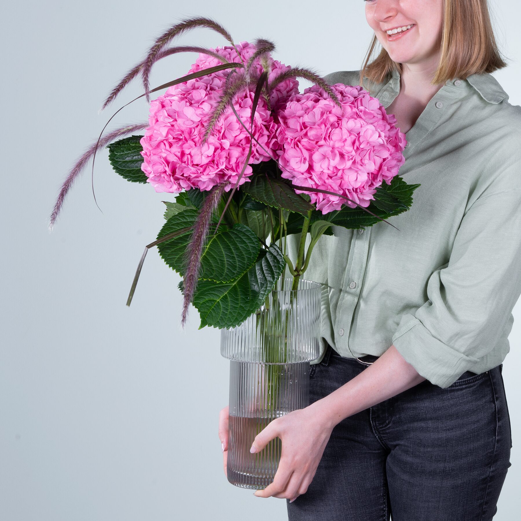 Hortensien rosa