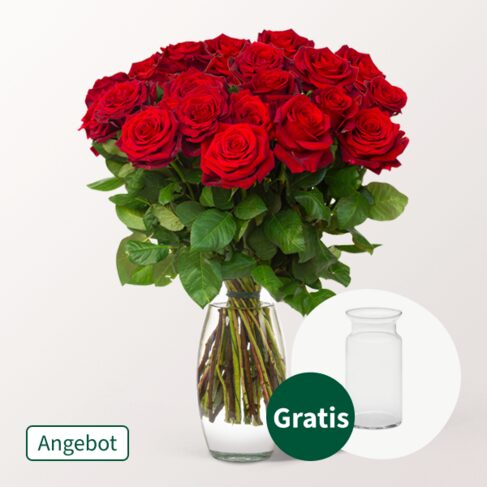 20 rote Rosen im Bund