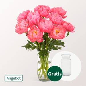 Prächtige Pfingstrosen im Bund