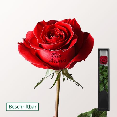 Beschriftbare rote haltbare Rose mit Stiel – Bild 2