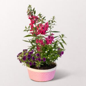 Sommerleuchten im Rosenkorb