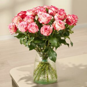 Zweifarbige Rosen 'Paloma' - 20 Stiele