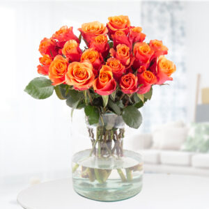20 Orange Rosen (40cm)