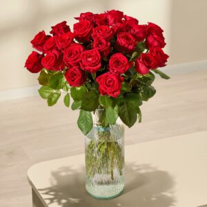 Rote Premium-Rosen - 25 Stiele