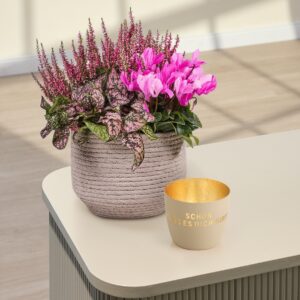 Pink Blush mit Windlicht Schön dass es dich gibt