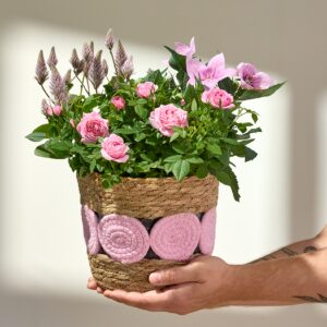 Rosy Blossom