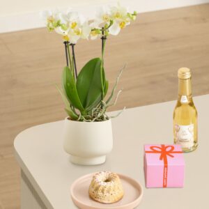 Traumhafter Sommer-Geburtstag