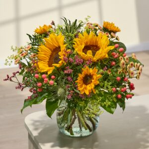 Sunflower Kiss