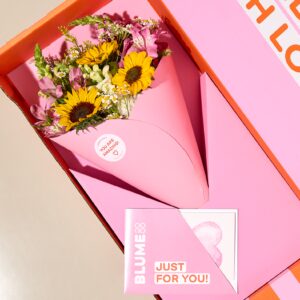XOXO-Box Sunny