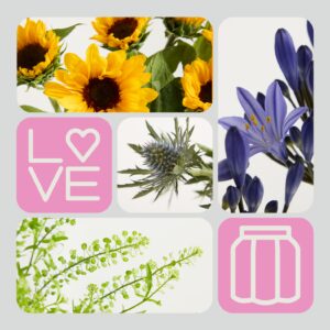 Hello Sunshine Mix