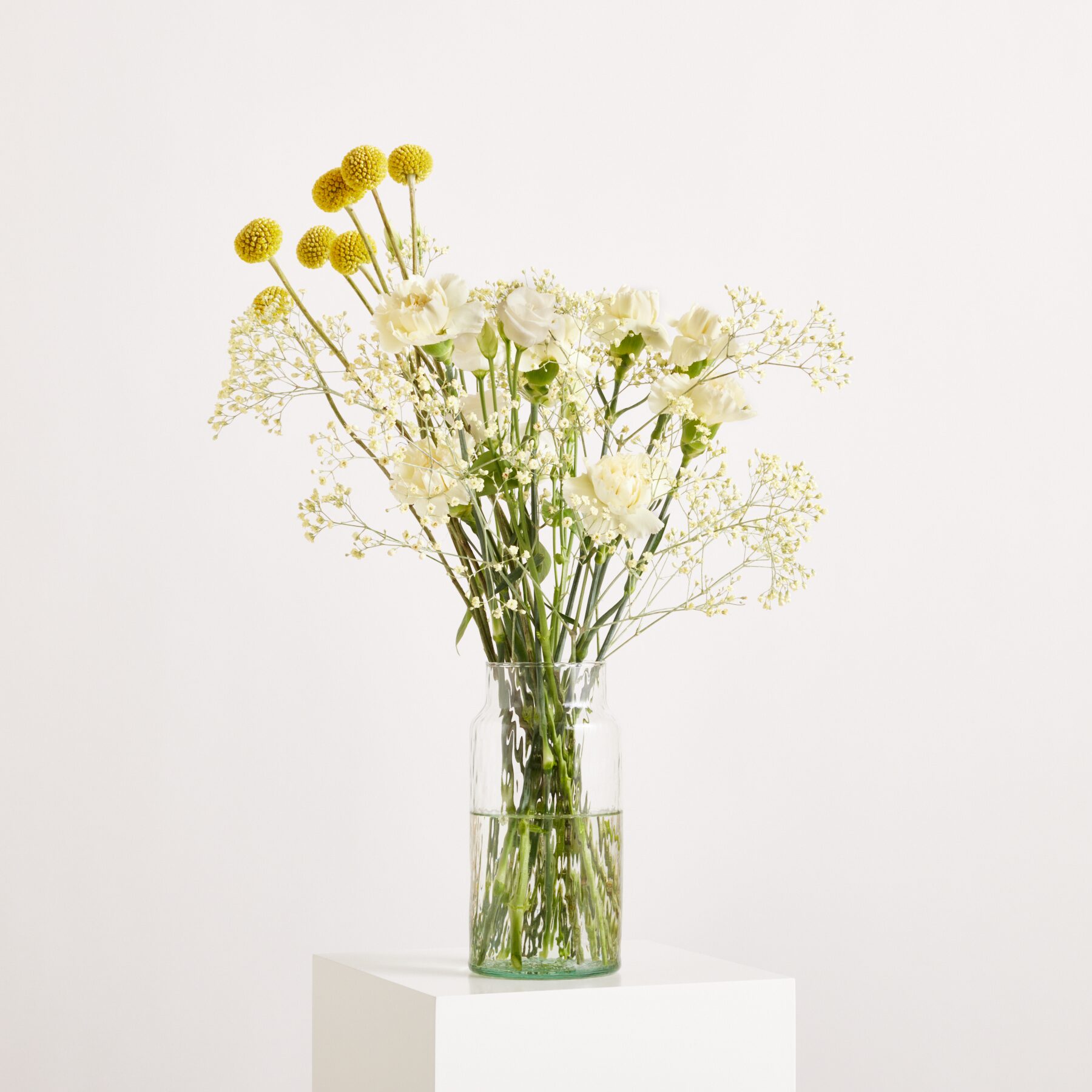 Fresh Meadow Mix