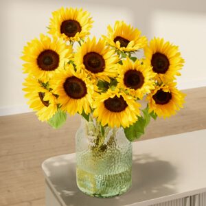 Sonnenblumen - 10 Stiele