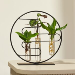 Waterplant Mix im Ring