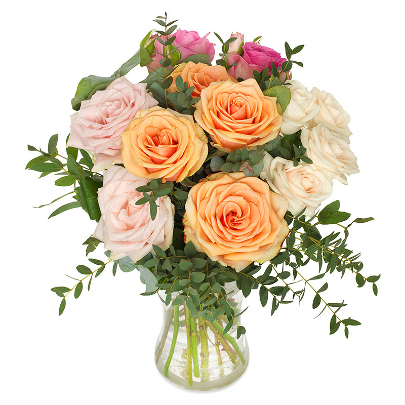 Umwerfende Rosen