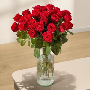 Rote Premium-Rosen – 25 Stiele