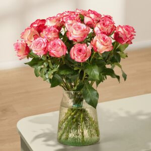 Zweifarbige Rosen 'Paloma' - 20 Stiele