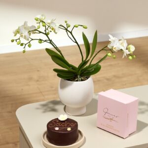 Traumhaft mit Blumen-Sachertorte 200g Traumhaft mit Blumen-Sachertorte 200g