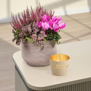 Pink Blush mit Windlicht Schön dass es dich gibt
