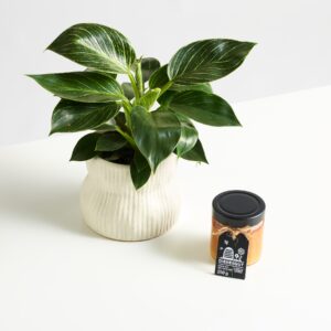 Green Harmony mit Diebesgut Honig 250g