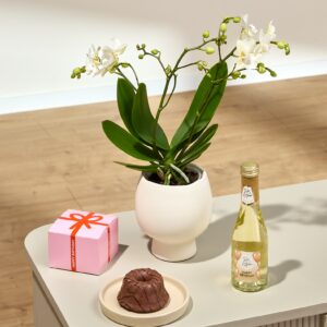 Traumhafter Geburtstag