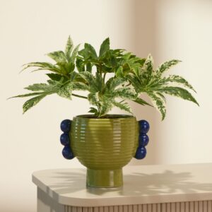 Green Companion