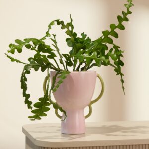 Sarracenia Love
