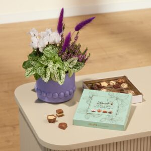 Lila Laune mit Lindt Pralinés Glückwunsch 100g