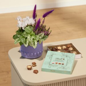 Lila Laune mit Lindt Pralinés Glückwunsch 100g