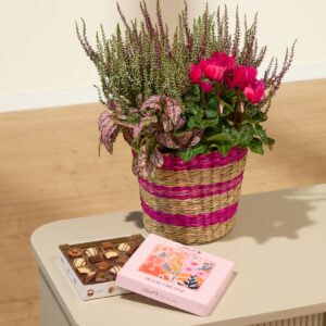 Herbst Pink mit Lindt Pralinés Süße Grüße 100g